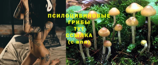 таблы Армянск